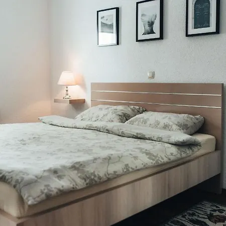 Rosa Canina シャレー