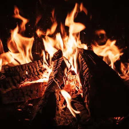 シャレー Rosa Canina クープレス