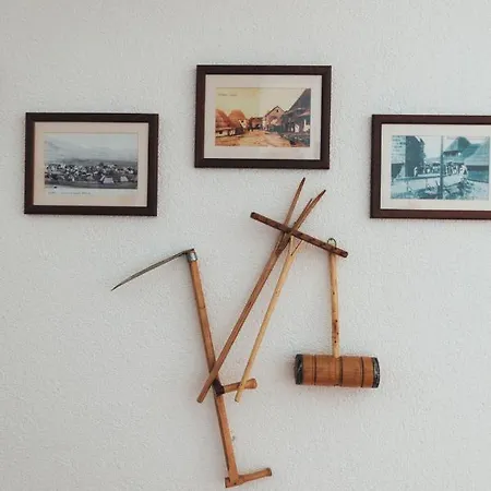 Rosa Canina シャレー *