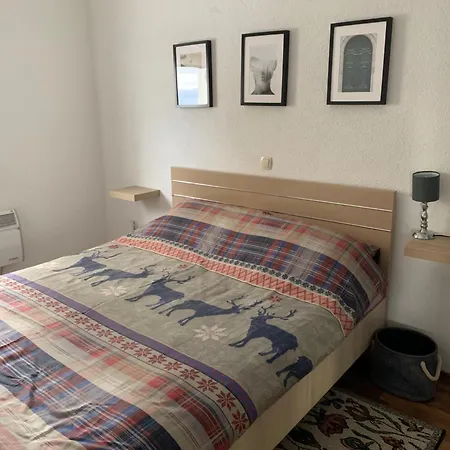 Rosa Canina シャレー